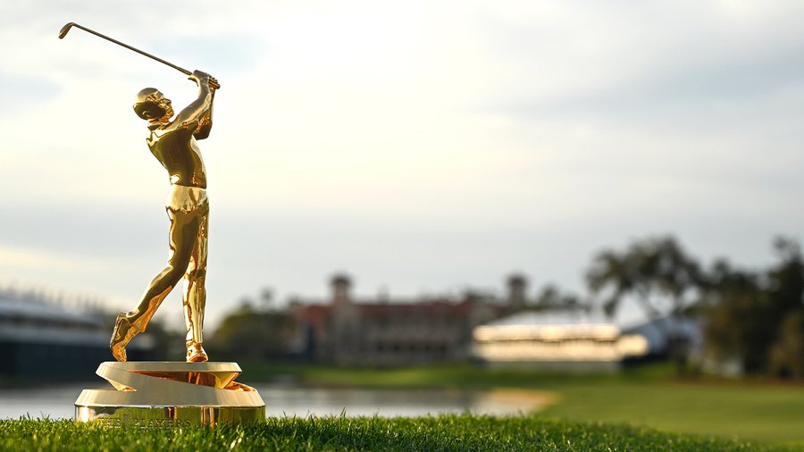 Intend to see The Athletes Champion on an 87-foot 12K screen? Currently you can