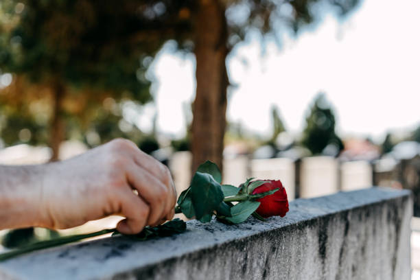 SakuraDate Dating Review: Registration, Communication, Prices 2025
